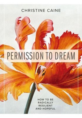 bokomslag Permission to Dream