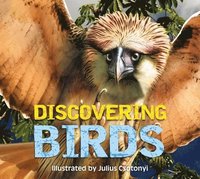 bokomslag Discovering Birds