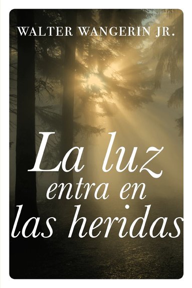 Walter Wangerin Jr. - luz entra en las heridas, Häftad