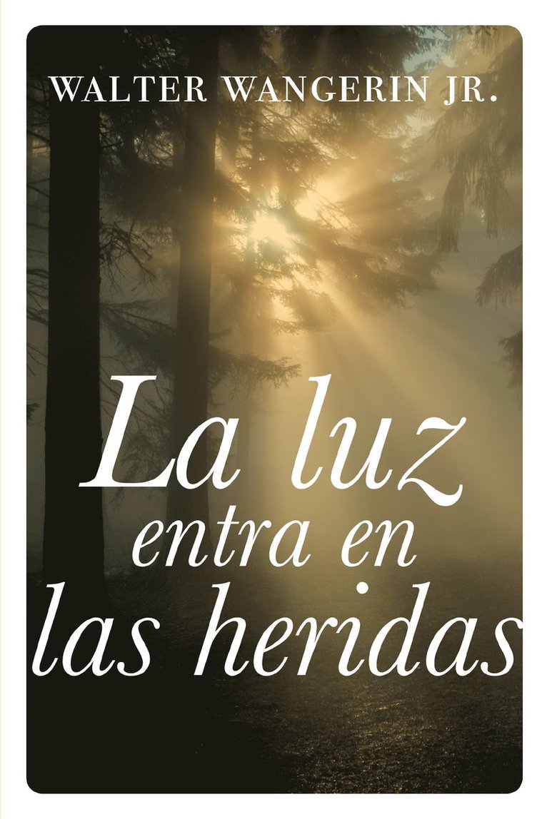 luz entra en las heridas