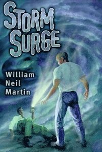 bokomslag Storm Surge