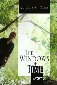 bokomslag The Windows of Time