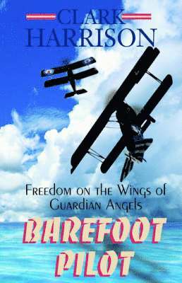 Barefoot Pilot 1