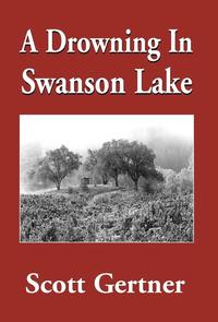 bokomslag A Drowning in Swanson Lake