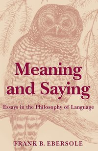 bokomslag Meaning and Saying