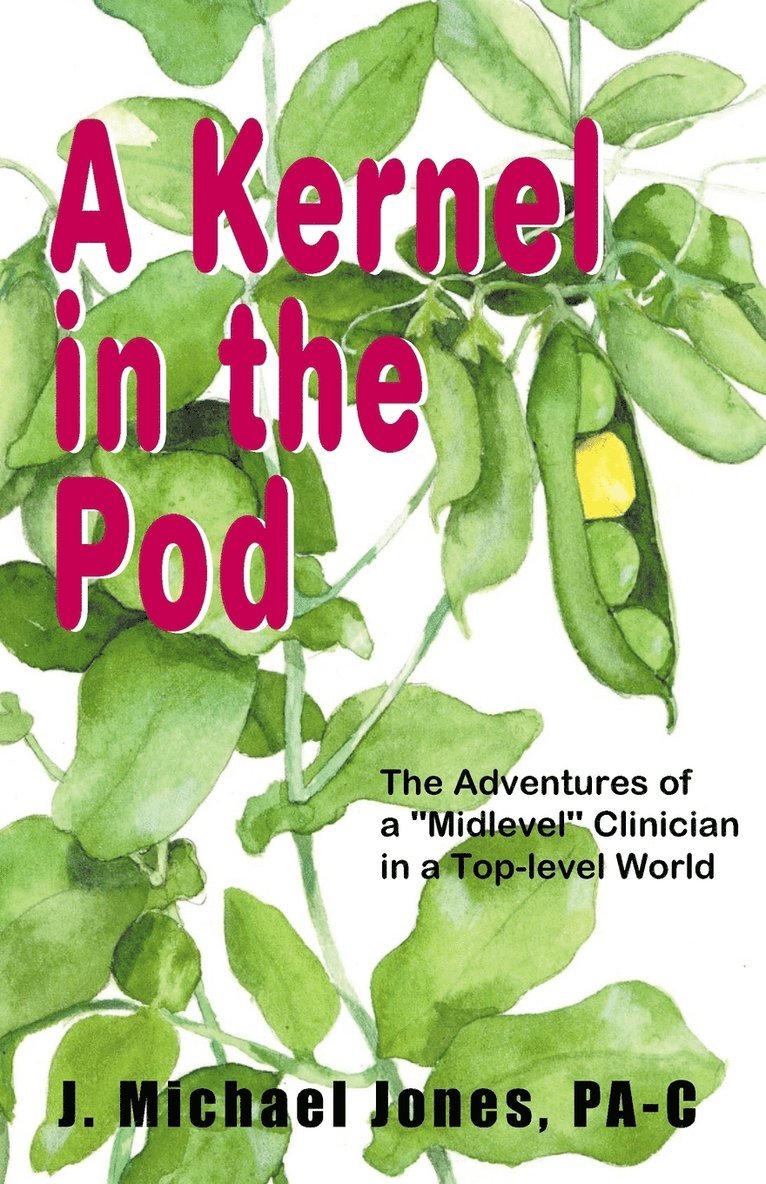 A Kernel in the Pod 1