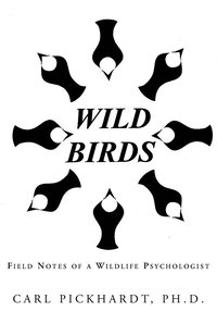 bokomslag Wild Birds