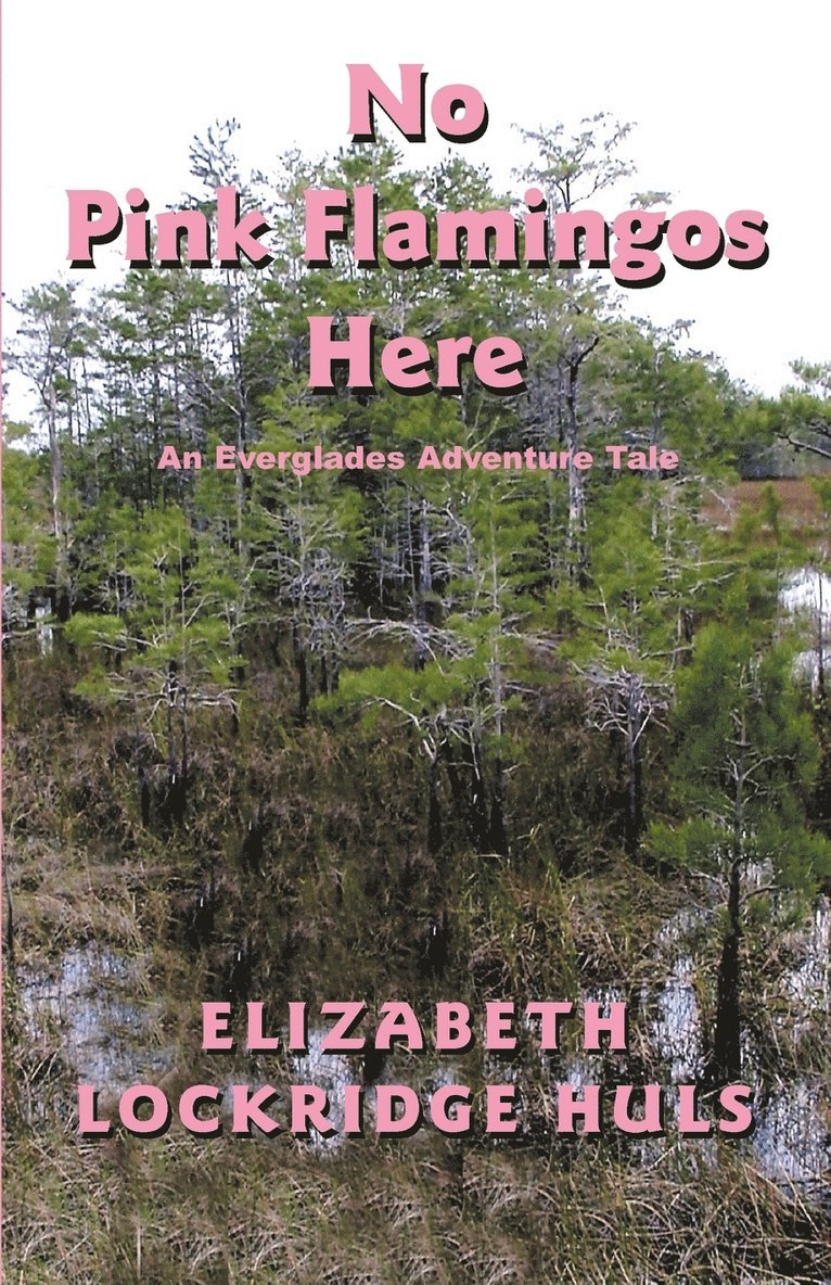 Elizabeth Lockridge Huls - No Pink Flamingos Here, Häftad