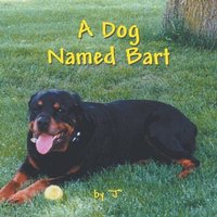 bokomslag Dog Named Bart