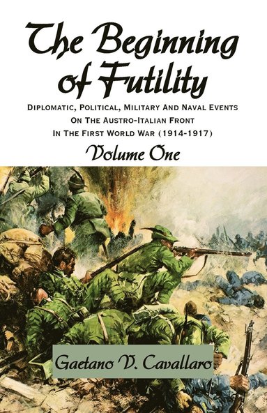 bokomslag Beginning of Futility