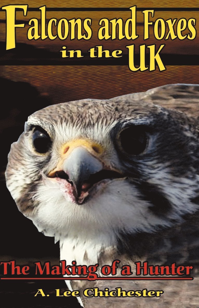 Falcons and Foxes in the U.K. 1