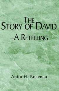 bokomslag The Story of David- A Retelling