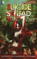 bokomslag Suicide Squad Vol. 1: Kicked in the Teeth (The New 52)