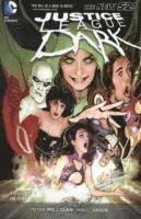 bokomslag Justice League Dark Volume 1: In the Dark (The New 52)