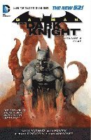 bokomslag Batman - The Dark Knight Vol. 4: Clay (The New 52)