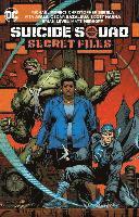 bokomslag Suicide Squad: Secret Files