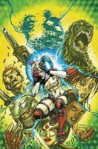 bokomslag Suicide Squad Vol. 2: Going Sane (Rebirth)
