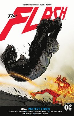 bokomslag The Flash Vol. 7: Perfect Storm