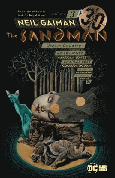 bokomslag The Sandman Volume 3