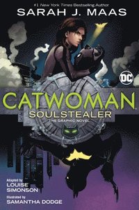 bokomslag Catwoman: Soulstealer