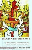 Beat of a Different Drum: The Untold Stories of African Americans Forging Their Own Paths in Work and Life 1