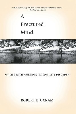 A Fractured Mind 1