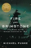 bokomslag Fire And Brimstone