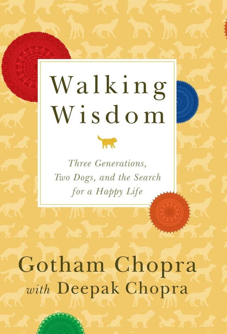 Gotham Chopra - Walking Wisdom, Inbunden