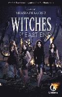 bokomslag Witches Of East End