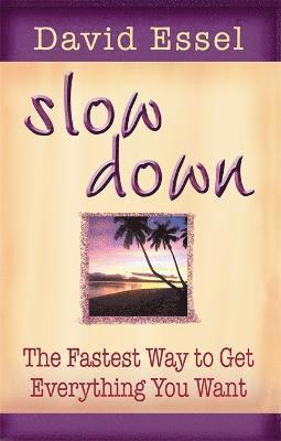 David Essel - Slow Down, Häftad