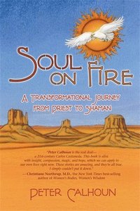 bokomslag Soul On Fire
