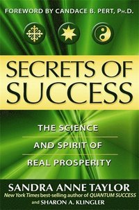 bokomslag Secrets of Success