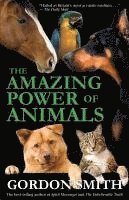 Gordon Smith - Amazing Power of Animals, Häftad