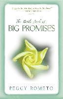 bokomslag Little Book of Big Promises