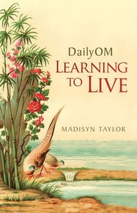 bokomslag Dailyom