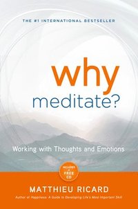 bokomslag Why Meditate?