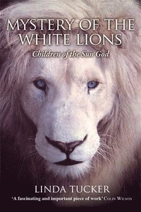 bokomslag Mystery of the white lions - children of the sun god