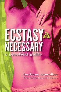 bokomslag Ecstasy is Necessary: A Practical Guide