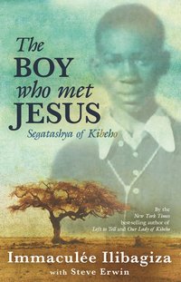 bokomslag The Boy Who Met Jesus