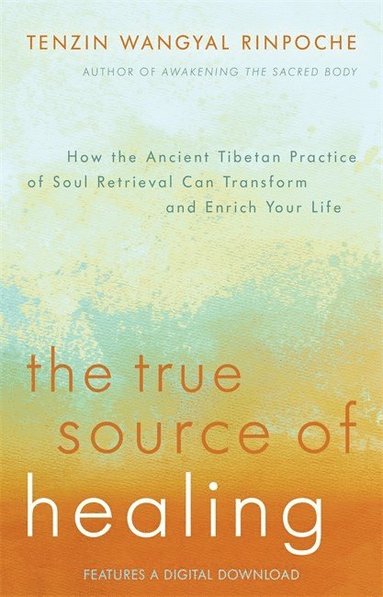 bokomslag True source of healing - how the ancient tibetan practice of soul retrieval