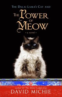 bokomslag The Dalai Lama's Cat and the Power of Meow