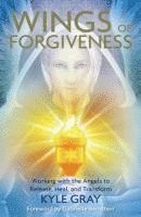 bokomslag Wings of Forgiveness