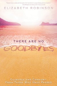bokomslag There Are No Goodbyes: Guidance and Comfort from Those Who Have Passed