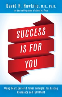 bokomslag Success is for You