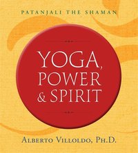 bokomslag Yoga, power, and spirit - patanjali the shaman