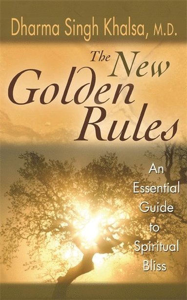 bokomslag The New Golden Rules