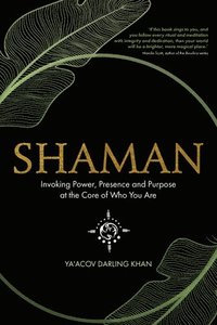 bokomslag Shaman: Invoking Power, Presence and Purpose at the Core of Who You Are