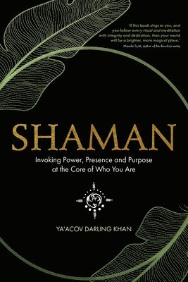 bokomslag Shaman: Invoking Power, Presence and Purpose at the Core of Who You Are