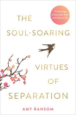 bokomslag The Soul-Soaring Virtues of Separation: 111 Learnings to Heal Your Heart and Help You Fly