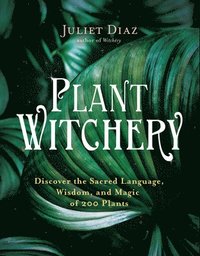 bokomslag Plant Witchery